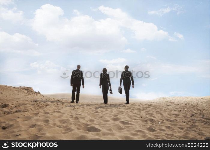 Three young business people walking through the desert, rear view, distant