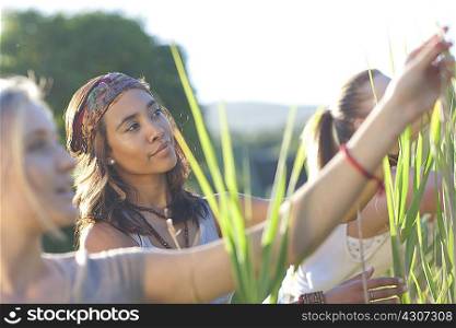 Three young female friends looking at grasses