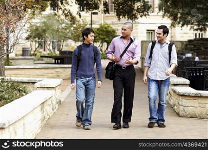 Three young men walking in a college campus and talking