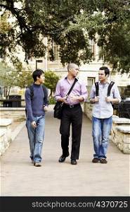 Three young men walking in a college campus and talking