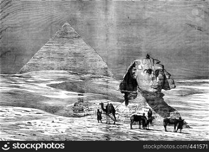 Through egypt. The Pyramids of Giza, vintage engraved illustration. Journal des Voyage, Travel Journal, (1880-81).