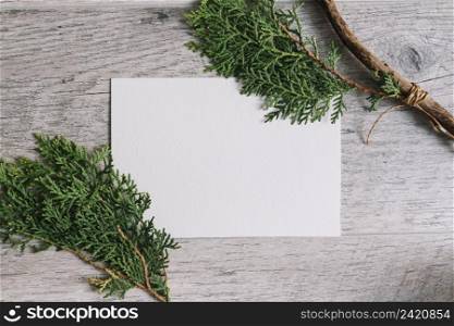 thuja twigs white blank paper against wooden textured backdrop