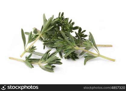 thyme. Fresh thyme isolated on white background