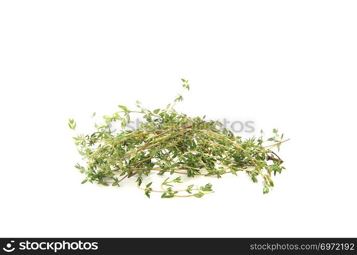 Thyme herb isolated in white background