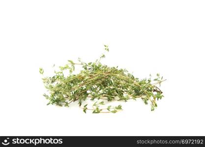 Thyme herb isolated in white background