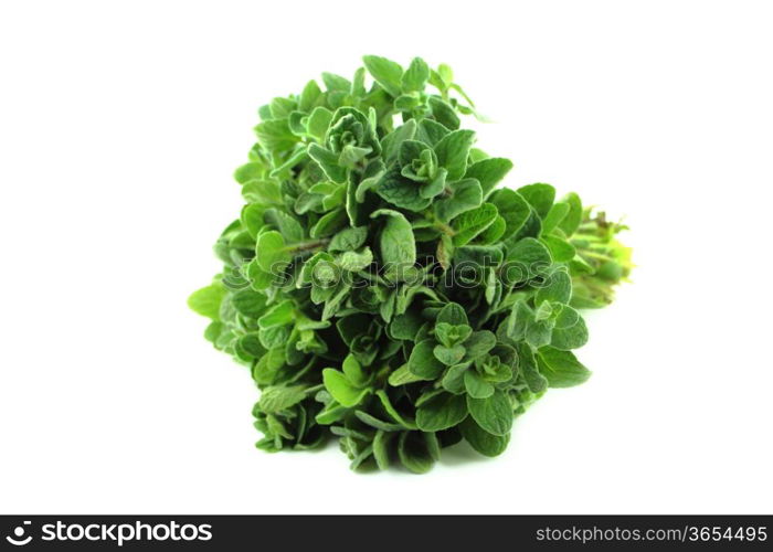 thyme herb isolated on white background .