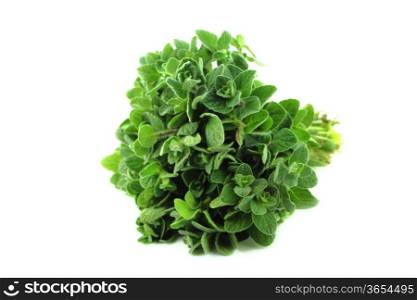 thyme herb isolated on white background .