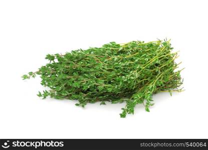 Thyme herb isolated on white background