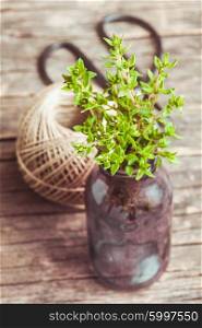 Thyme in a bottle on the rustic wooden table. thyme in a bottle