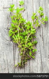 Thyme on the rustic wooden table close up. thyme on the wooden table