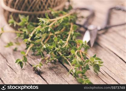 Thyme on the rustic wooden table with rope and scissors, prepared for drying