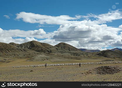 Tibet landscape