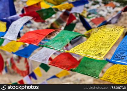 Tibetan Buddhism prayer flags  lungta  with Om Mani Padme Hum Buddhist mantra prayer. Leh, Ladakh, Jammu and Kashmir, India. Tibetan Buddhism prayer flags lungta