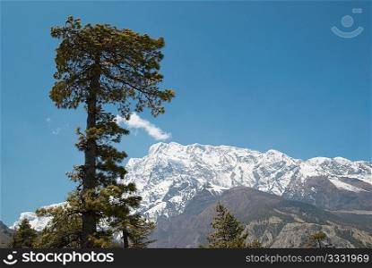 Tibetan road with firs in Himalayan mountain and blue sky.