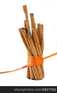 Tied Bunch of cinnamon Sticks