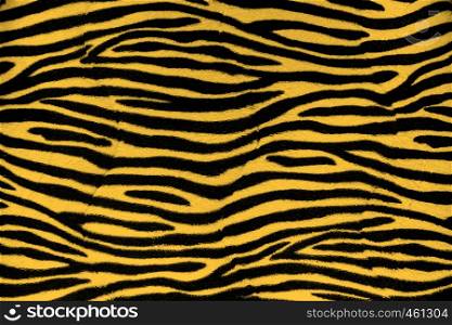 Tiger fur background texture close up view. Tiger fur background texture