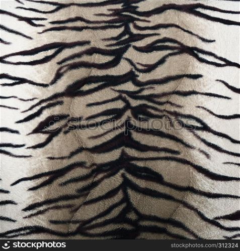 tiger fur texture