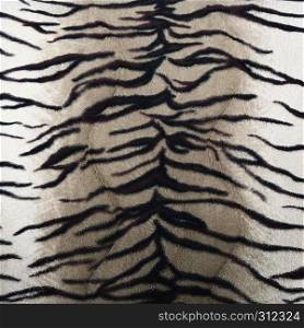 tiger fur texture