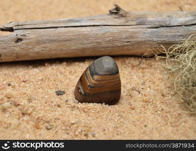 Tiger iron on beach