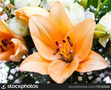 tiger lily close up in a bouquet of flowers