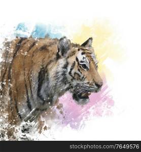 Tiger portrait watercolor.Digital illustration.
