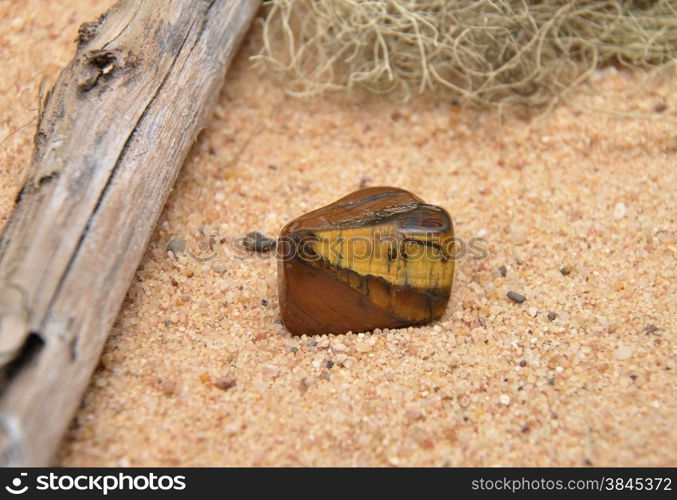 Tiger?s eye on beach