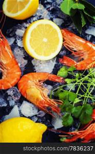 Tiger Shrimps on Ice with lemon and herbs