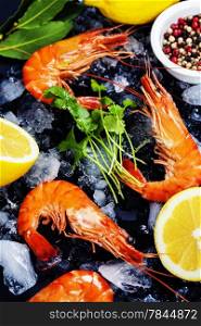 Tiger Shrimps on Ice with lemon and herbs