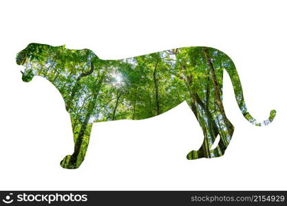 Tiger World Wildlife Day forest silhouette in the shape of a wild animal wildlife and forest conservation concept