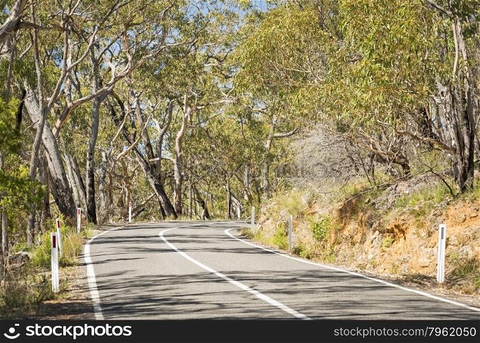 Tight corners on the road to Zumsteins in the Grampians National Park, Australia