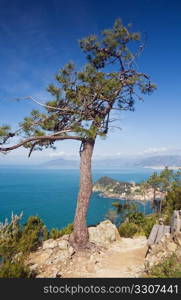 Tigullio Gulf and the town of Sestri Levante, Italy