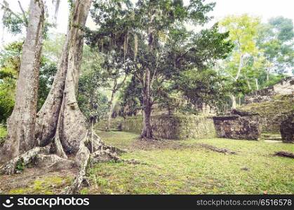 Tikal. Famous ancient Mayan temples in Tikal National Park, Guatemala, Central America