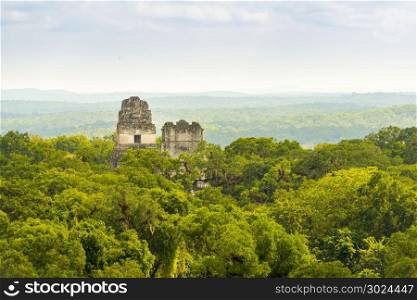 Tikal in Guatemala, an ancient Mayan city in ruins surrounded by jungle