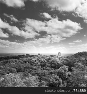 Tikal in Guatemala, an ancient Mayan city in ruins surrounded by jungle in stunning black and white