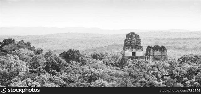 Tikal ruins in Guatemala with thick tropical jungle in stunning black and white