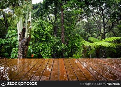 Timber boards stretch out in perspective to the lush green jungle behind