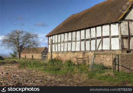 Timber-framed, wattle and daub barn at Hanley Childe, Worcestershire, England.