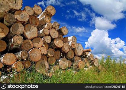 timber in a field near the forest