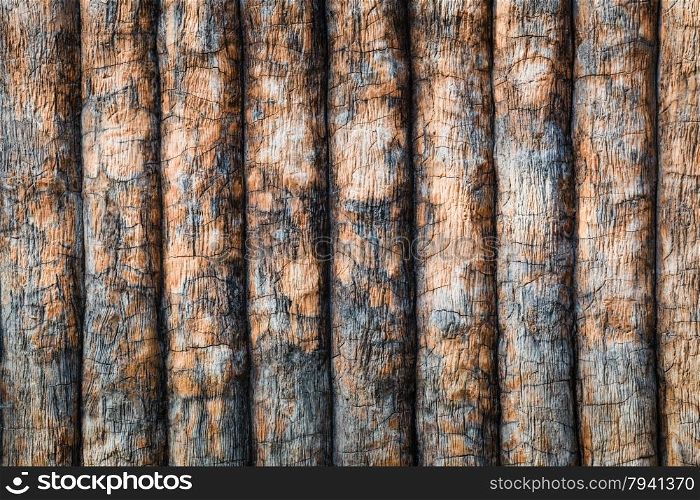 timber or wooden planks wall, pattern texture as background