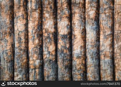 timber or wooden planks wall, pattern texture as background