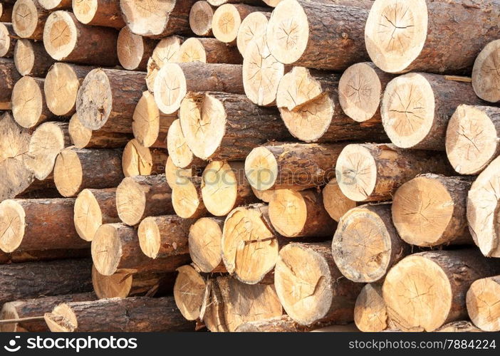 Timber-wood materials that retain their natural physical structure and chemical composition of felled trees