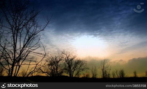 time lapse clouds and silhouettes of trees at sunset.