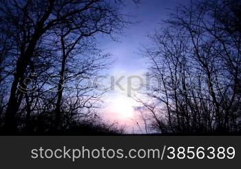 time lapse of running clouds on sunset among trees.