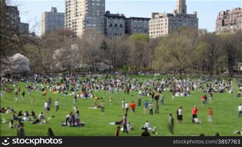 Time lapse, overlooking a crowded field in Central Park as people enjoy a warm Spring day.
