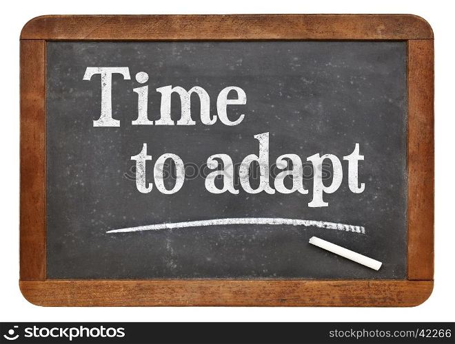 Time to adapt - white chalk text on a vintage slate blackboard
