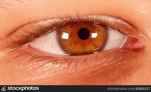 Timelapse Human eye close-up.