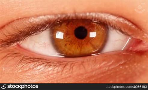 Timelapse Human eye close-up.