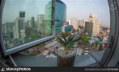 Timelapse wide angle shot of city life with intense car traffic. View from the window with a house plant in foreground. Seoul, Republic of Korea