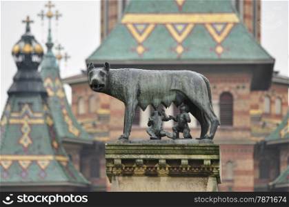 Timisoara city romania she-wolf statue landmark