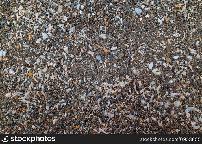 Tiny and large sea shell and rocks texture background.